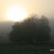 Sun rise through mist